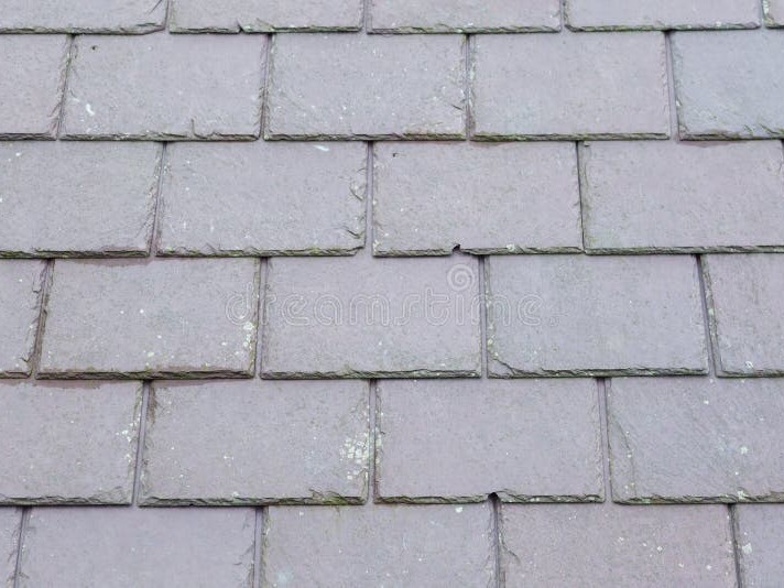 Roof Repairs