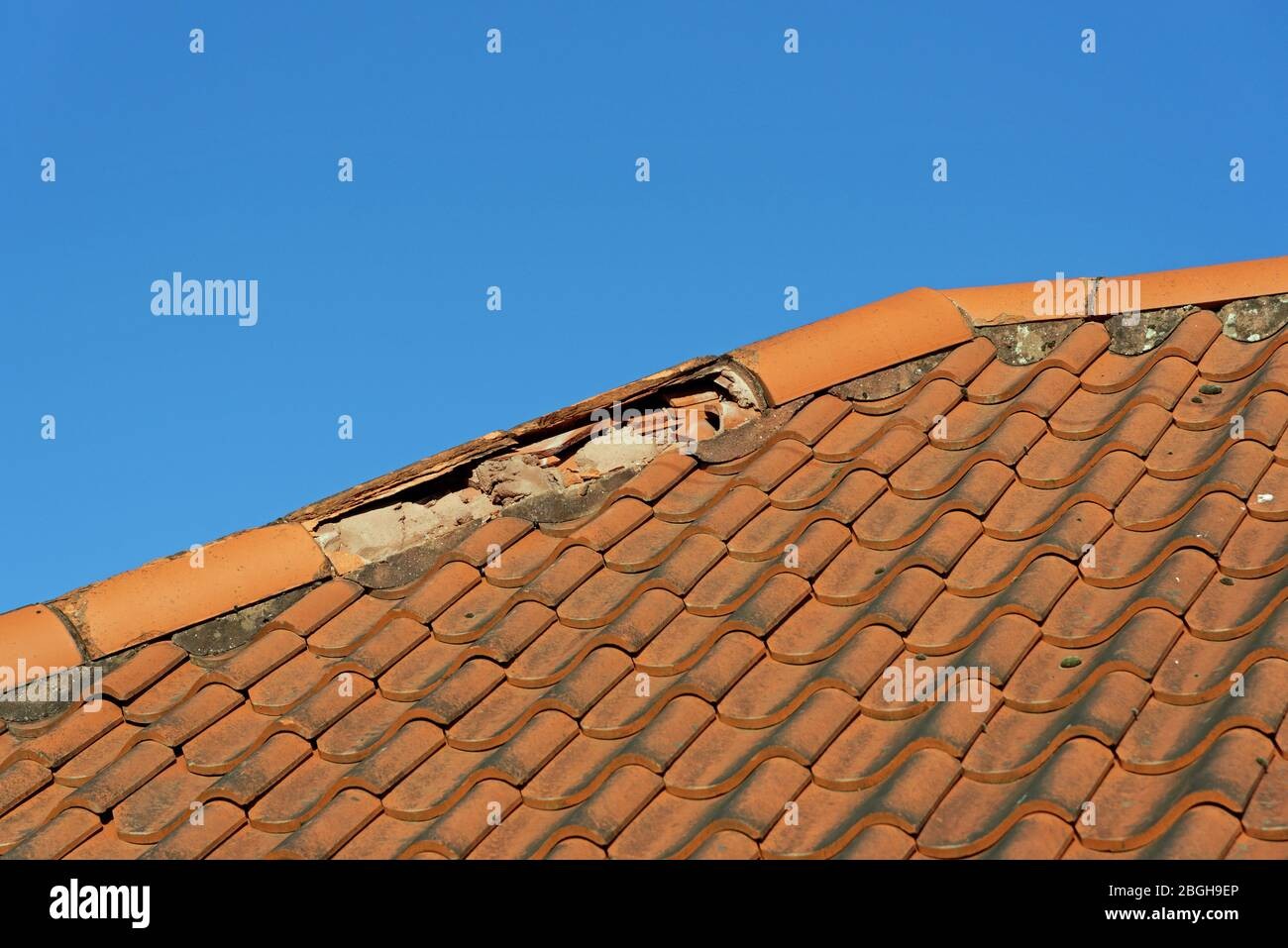 Roof Membrane