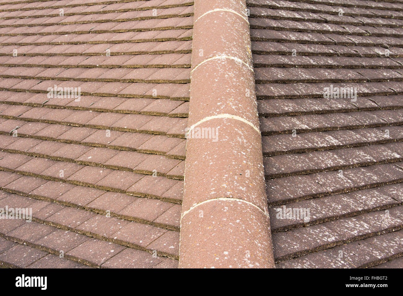 Finished Roof Project